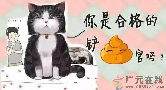 鏟屎官是什么意思