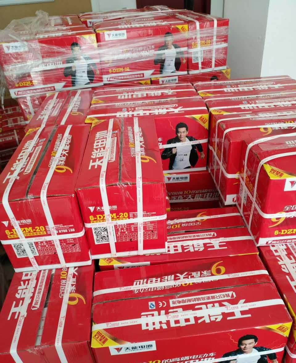 國內(nèi)蓄電池品牌排行榜