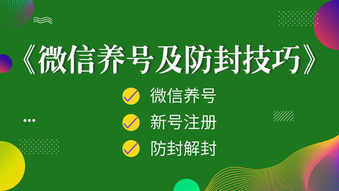 微信怎么加10000個人