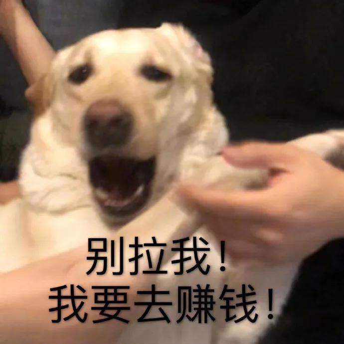 學生黨怎么賺錢