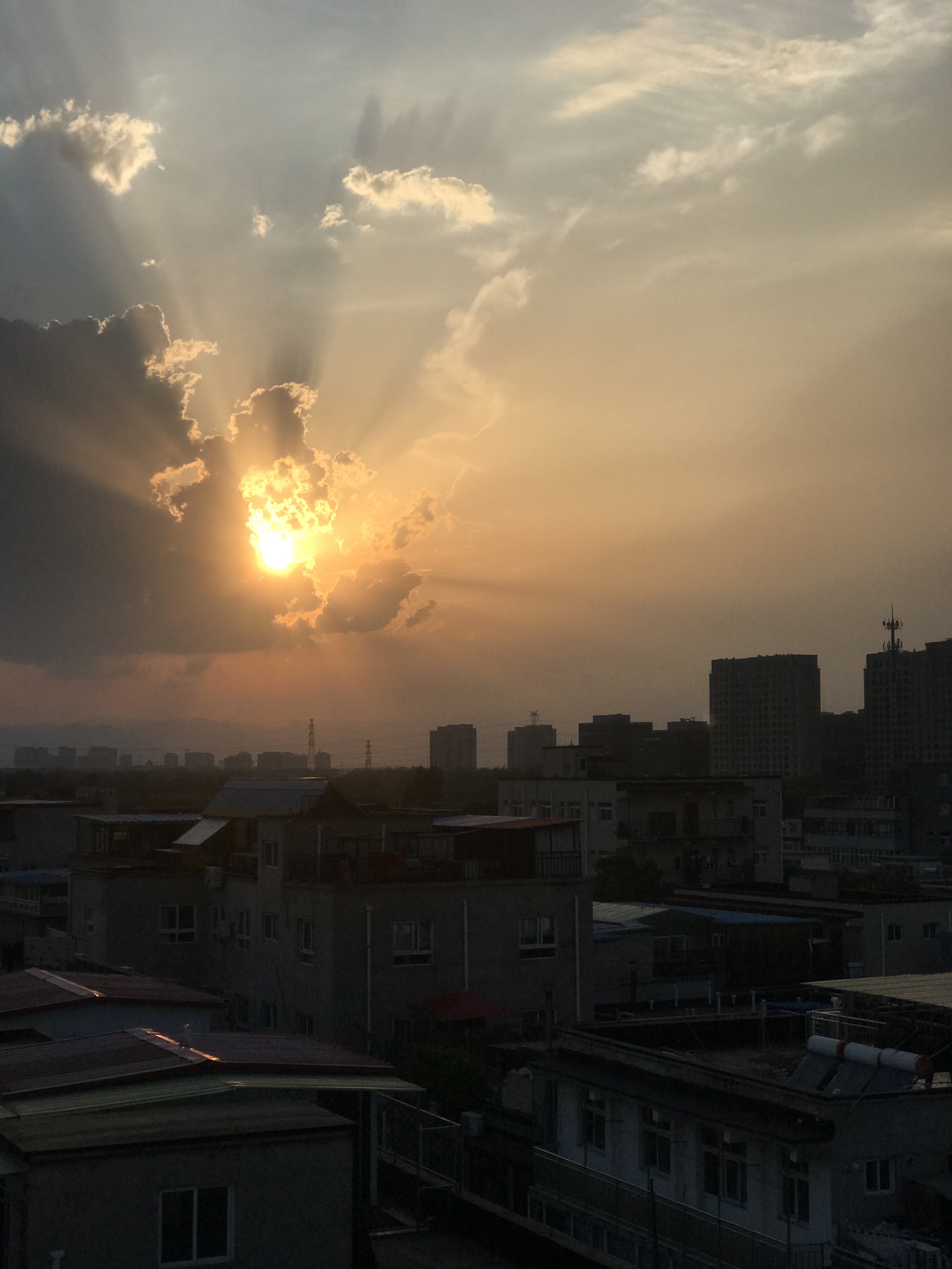 美團跑腿員怎么申請