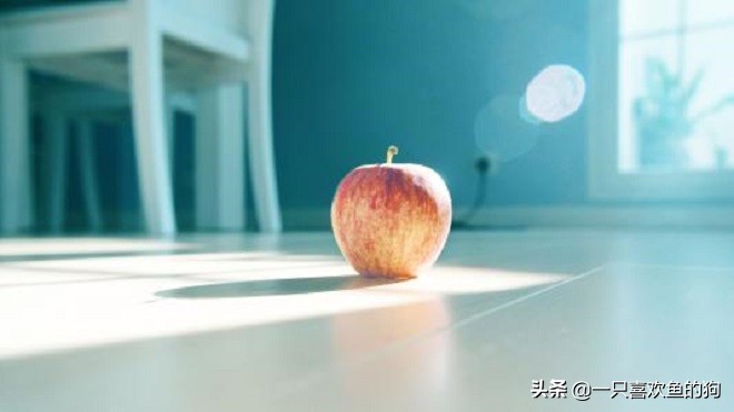 朋友圈停用僅自己可見