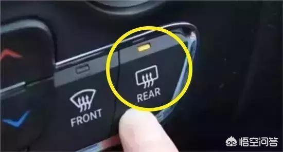 rear是什么意思