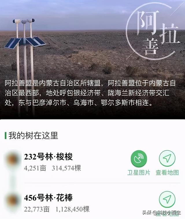 支付寶螞蟻森林偷偷薅羊毛了？