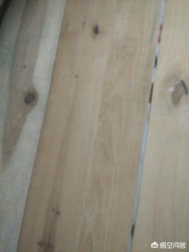 木床一動就很響怎么辦