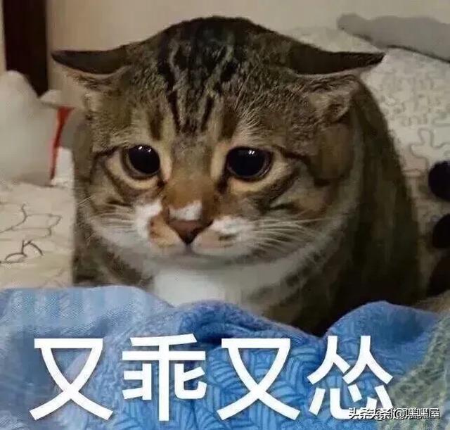 給賣家退貨退空包裹會(huì)怎么樣