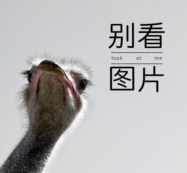 標(biāo)題黨經(jīng)典臺詞