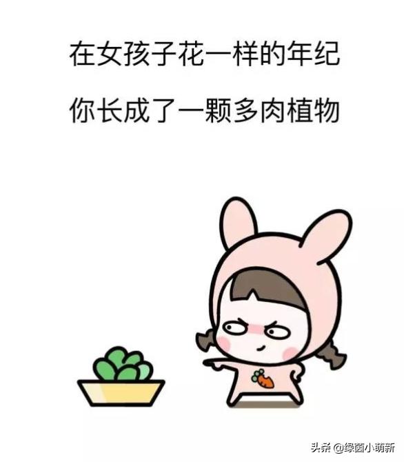 有哪些著名的“損人名言”