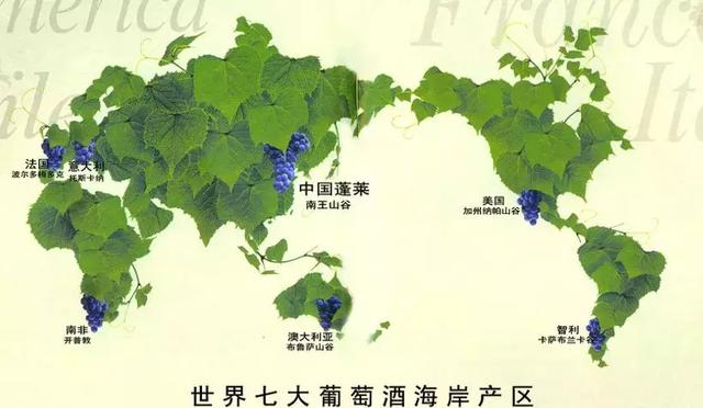 長城海岸葡萄酒多少錢