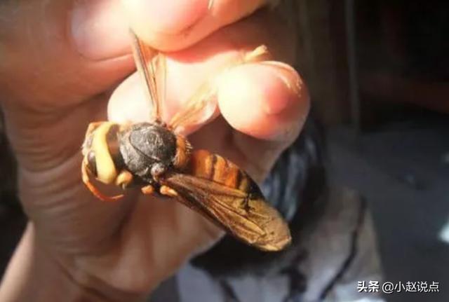 79個(gè)偏門小生意