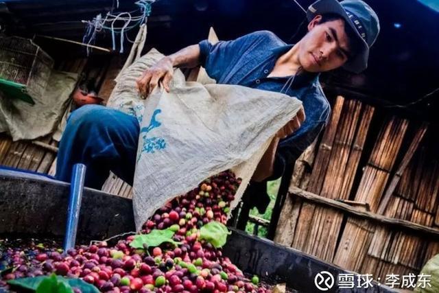 拼多多農(nóng)產(chǎn)品上行解決