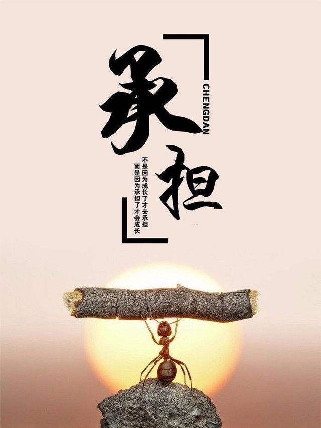 老公不做家務(wù)的離婚率