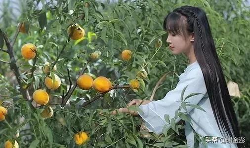 網(wǎng)紅李子柒做泡菜被韓國網(wǎng)友抵制