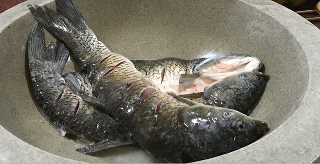 湖南石鍋魚加盟排行榜前10名