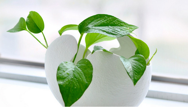 手工diy制作游戲（能玩的植物大戰僵尸游戲機怎樣做）