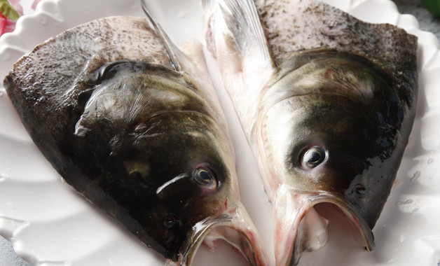 一號(hào)魚漂身長(zhǎng)一般多少厘米
