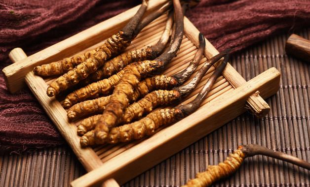 滋補養生代理店創收