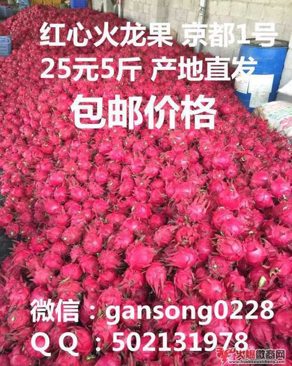 微商水果一手貨源，產地直銷，一件代發
