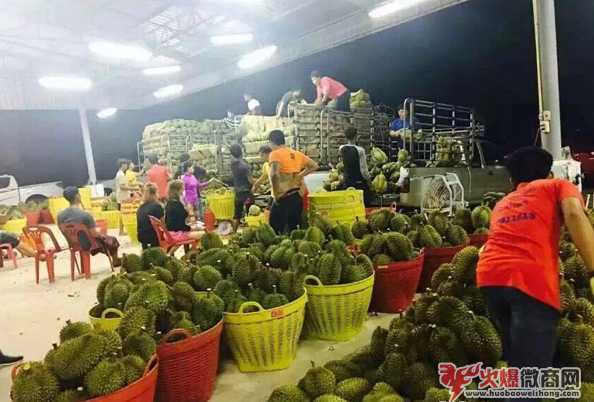 微商水果一手貨源，產地直銷，一件代發