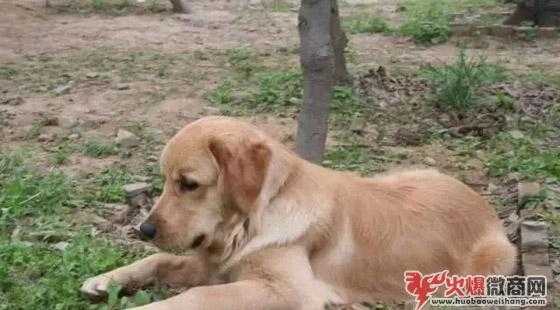 教你如何做微商，日賺500元！