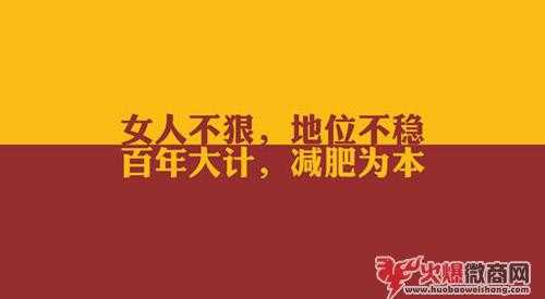 十大靠譜的微商產品2019排名如下