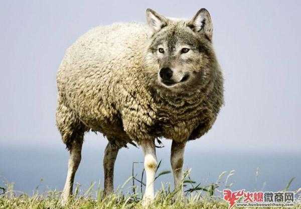 2020年互聯(lián)網(wǎng)發(fā)展趨勢(shì)，紅利已過(guò)90后該何去何從？