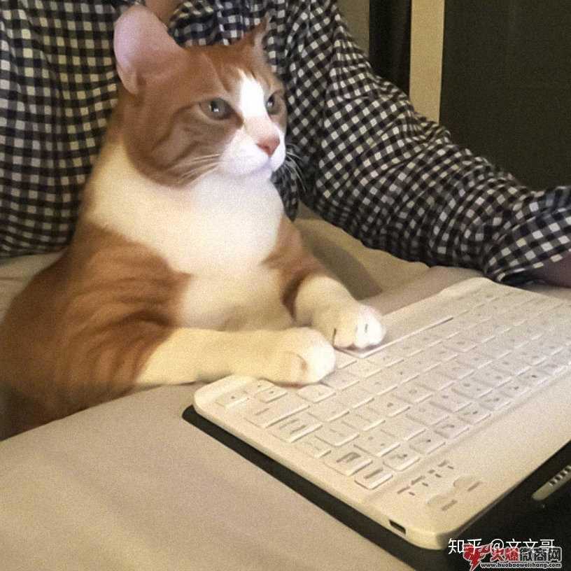 加了好友,那朋友圈應該要怎么發呢？