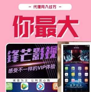 鋒芒影視 16種影視APP 一手貨源 全網(wǎng)最低價 日賺上千